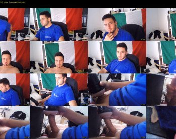 tartaruga88