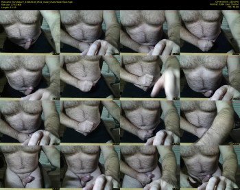 furrybear2