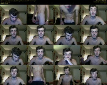 sexual_vibrations