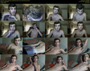 sexual_vibrations