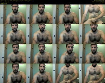 bearcam93