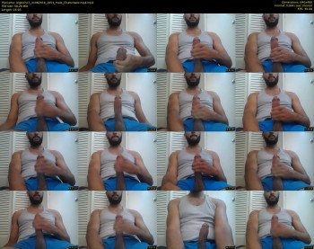 bigbicho7