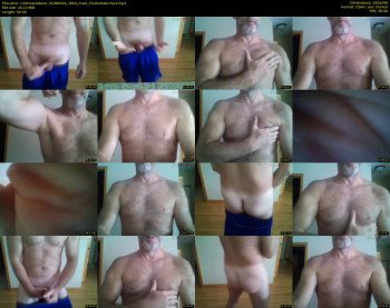 coltmusclebear