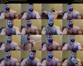 panda_muscle
