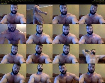 panda_muscle