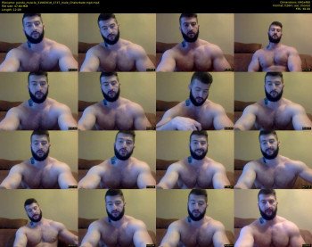 panda_muscle