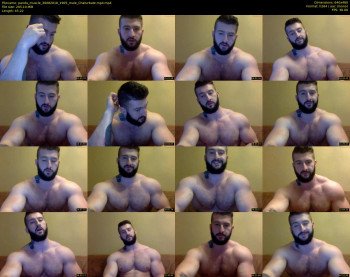 panda_muscle