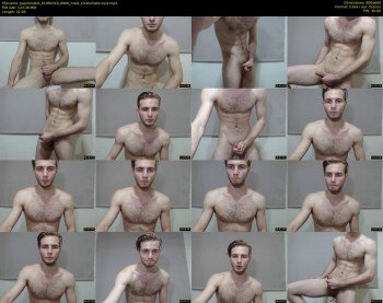 papimodels