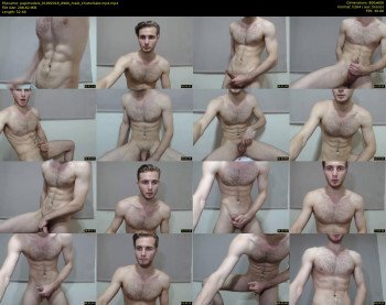 papimodels