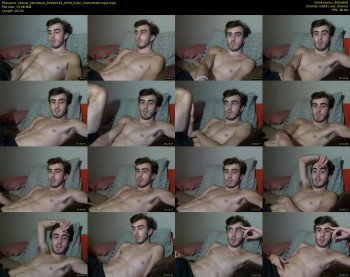 sexual_vibrations