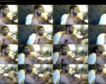 boredbeast