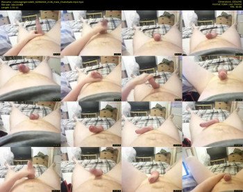curiousgingercub83