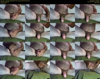 vaboy356