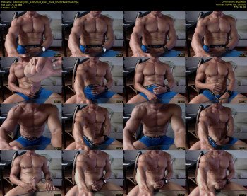 pitbullsexy001