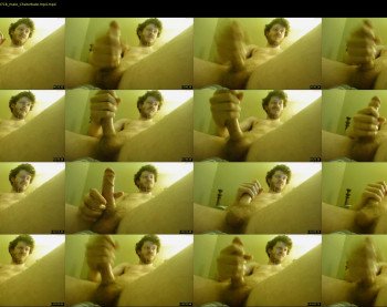 warrenstrips