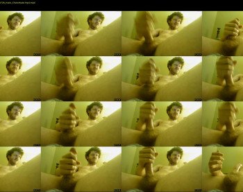 warrenstrips