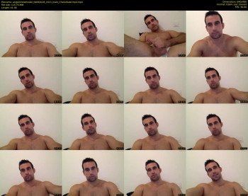 angellonewmodel