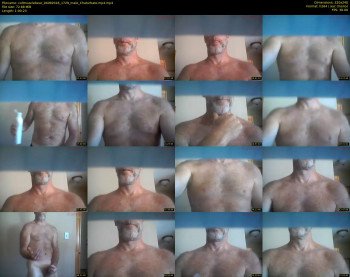 coltmusclebear