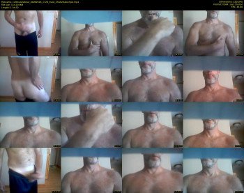 coltmusclebear