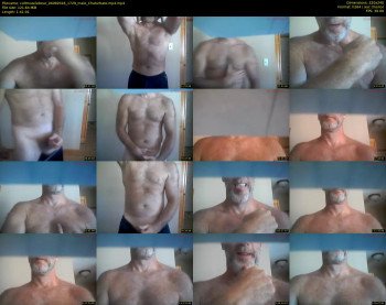 coltmusclebear
