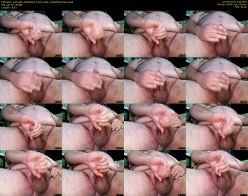 garfox65