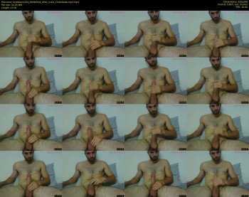mybbear1234