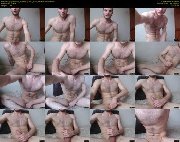 papimodels