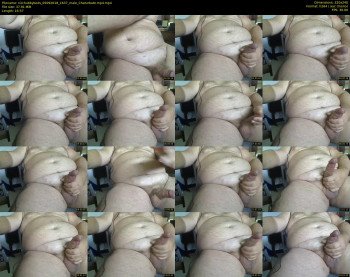 n2chubbybods
