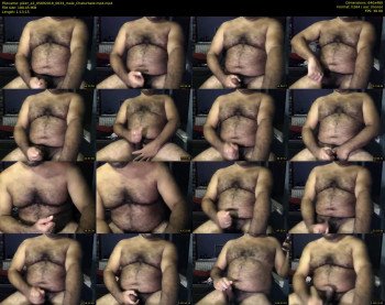 piker_a2
