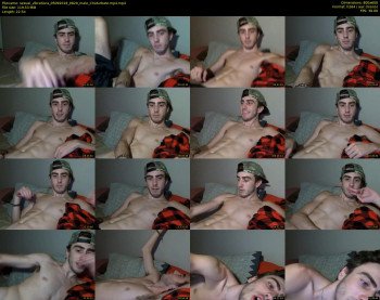 sexual_vibrations