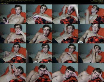 sexual_vibrations