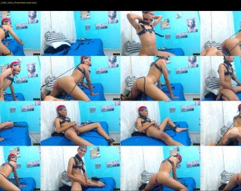 kingacxellatin