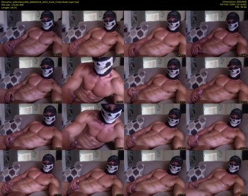 pitbullsexy001