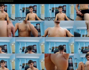 stephanwolfx