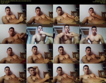 hotcat95
