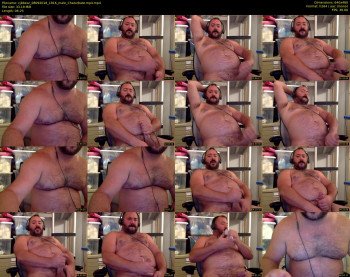 cjbbear