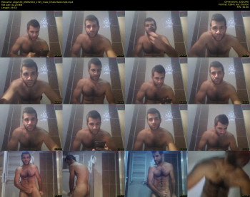 aligvn33