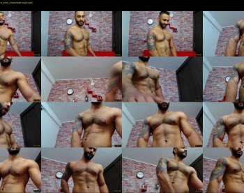 apolo_fox