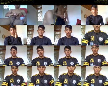 crazy_cock1