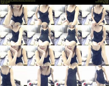 liinn_butterfly