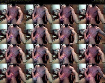 tapdatbotty