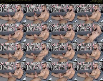 alphamatteo