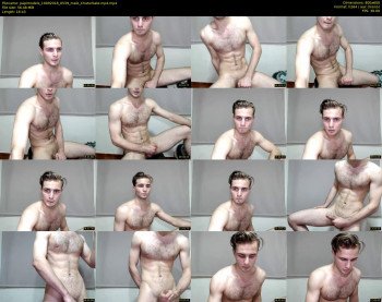 papimodels