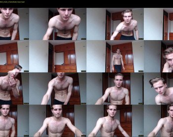 papimodels