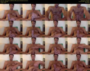silviocock22