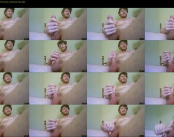 warrenstrips