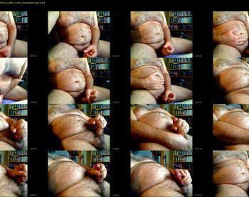 bellyworshipper
