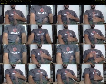 bigbicho7
