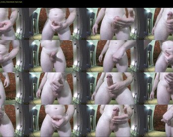palpenis