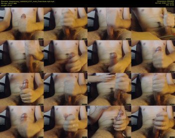 shaynecrazy